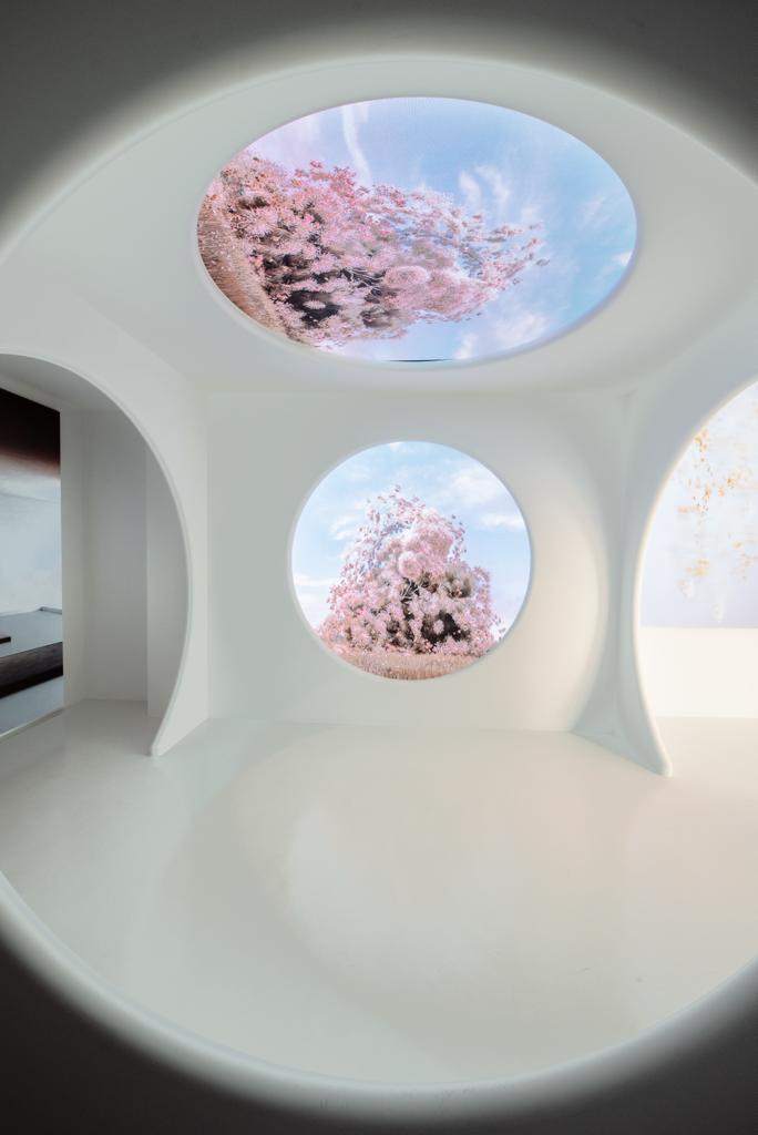 DecopoX — pavimento continuo blanco con ventanas circulares y proyecciones de cerezo